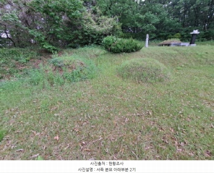 2025타경51329 충청남도 당진시 송산면 당산리 산13-1 임야 경매 이미지