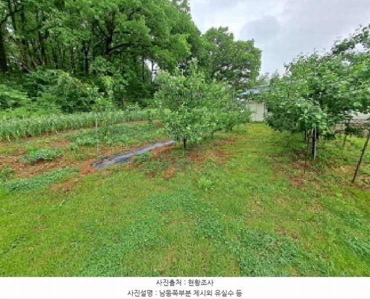 2025타경51329 충청남도 당진시 송산면 당산리 산13-1 임야 경매 이미지