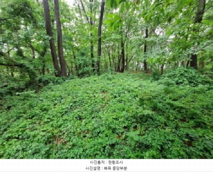 2025타경51329 충청남도 당진시 송산면 당산리 산13-1 임야 경매 이미지
