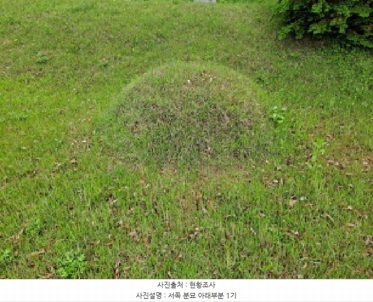 2025타경51329 충청남도 당진시 송산면 당산리 산13-1 임야 경매 이미지