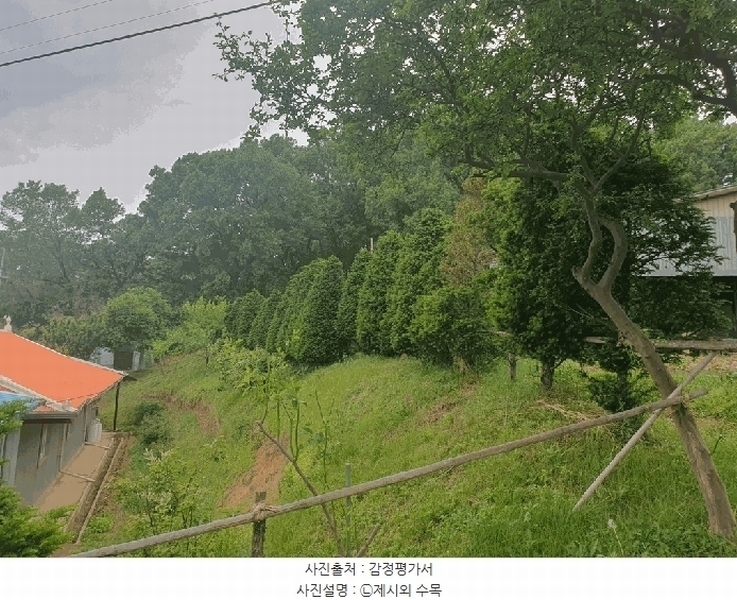 2025타경51329 충청남도 당진시 송산면 당산리 산13-1 임야 경매 이미지