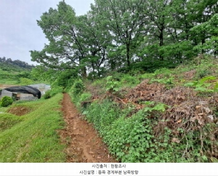 2025타경51329 충청남도 당진시 송산면 당산리 산13-1 임야 경매 이미지