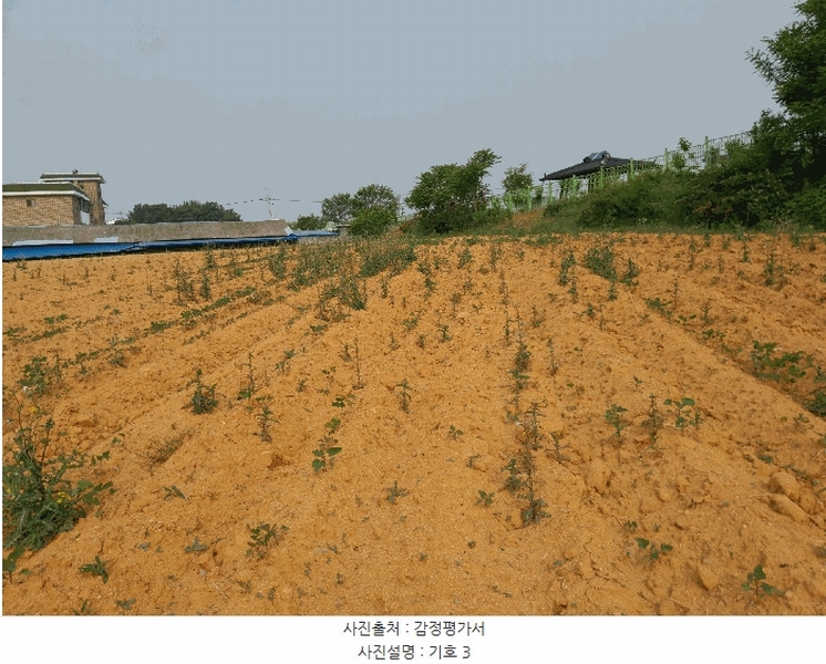2025타경51368 충청남도 당진시 합덕읍 운산리 1-49 임야 경매 이미지