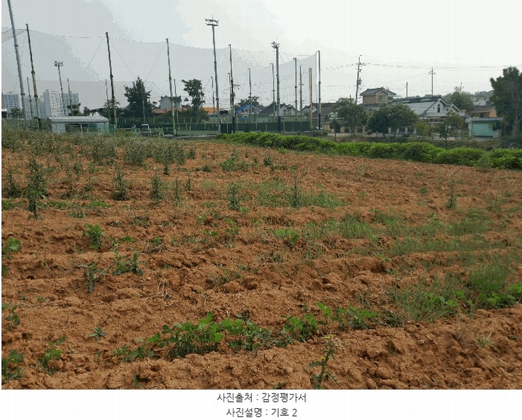 2025타경51368 충청남도 당진시 합덕읍 운산리 1-49 임야 경매 이미지