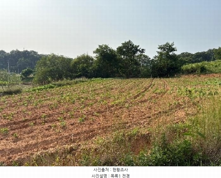 2025타경51437 충청남도 당진시 송악읍 반촌리 716-1 농지 경매 이미지
