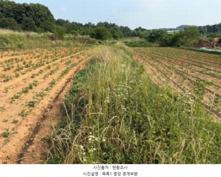 2025타경51437 충청남도 당진시 송악읍 반촌리 716-1 농지 경매 이미지