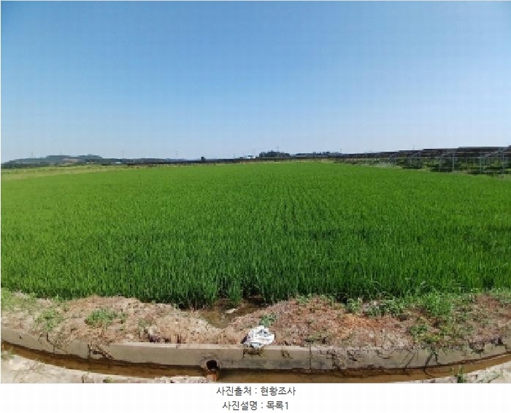 2025타경51487 충청남도 당진시 석문면 초락도리 1375 농지 경매 이미지