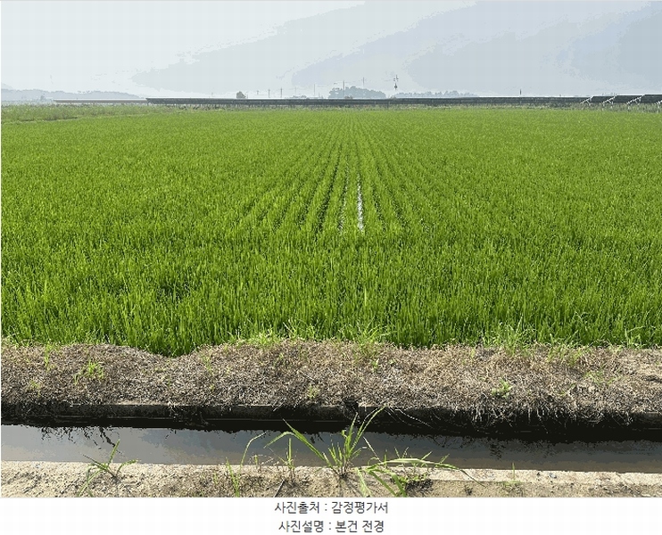 2025타경51487 충청남도 당진시 석문면 초락도리 1375 농지 경매 이미지