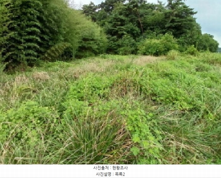 2025타경51576 충청남도 당진시 석문면 통정리 271 농지 경매 이미지