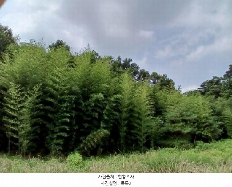 2025타경51576 충청남도 당진시 석문면 통정리 271 농지 경매 이미지