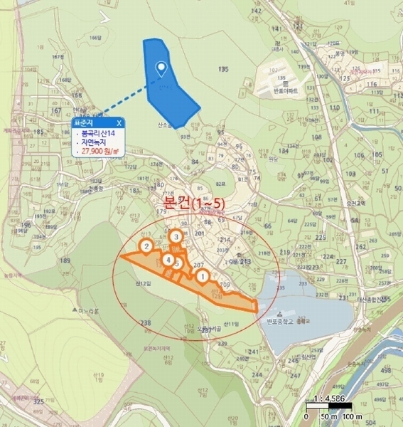 2025타경58 충청남도 공주시 반포면 봉곡리 산12-12 임야 경매 이미지