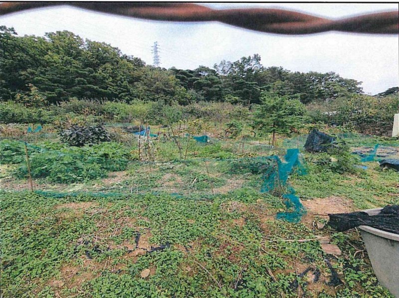 2024타경121432 대구광역시 수성구 범물동 150-1 농지 경매 이미지