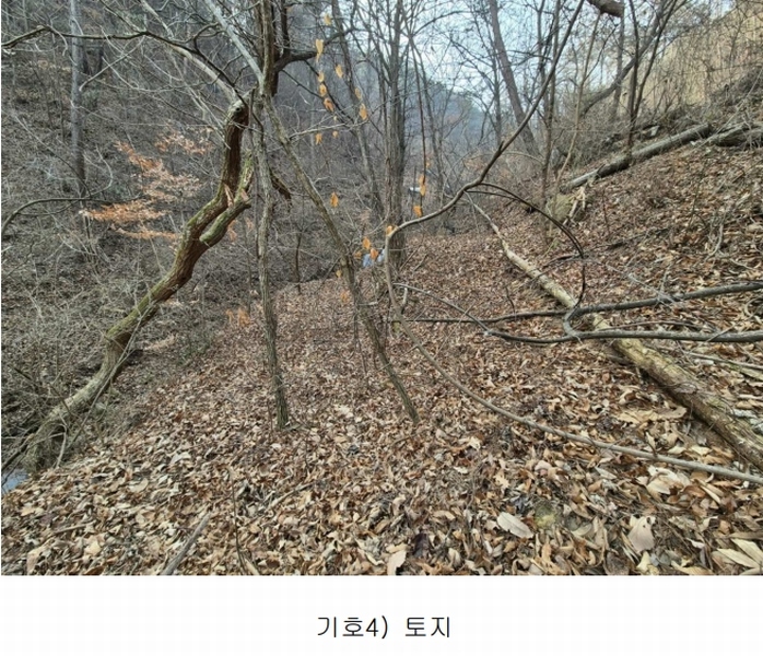 2025타경5292 경상북도 청도군 매전면 남양리 1777 농지 경매 이미지