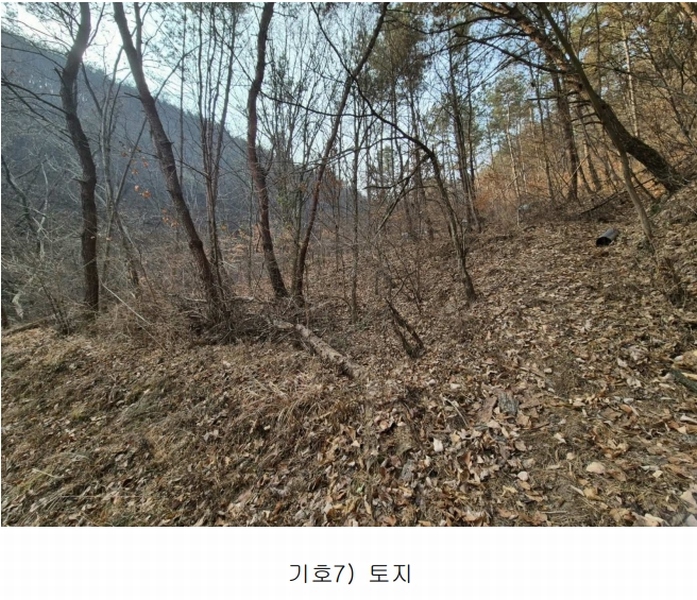 2025타경5292 경상북도 청도군 매전면 남양리 1777 농지 경매 이미지