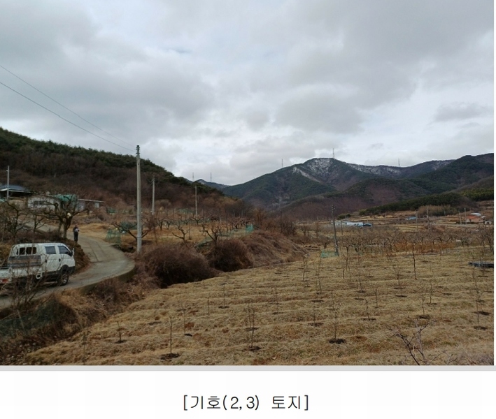 2025타경7319 경상북도 청도군 풍각면 화산리 689 과수원 경매 이미지