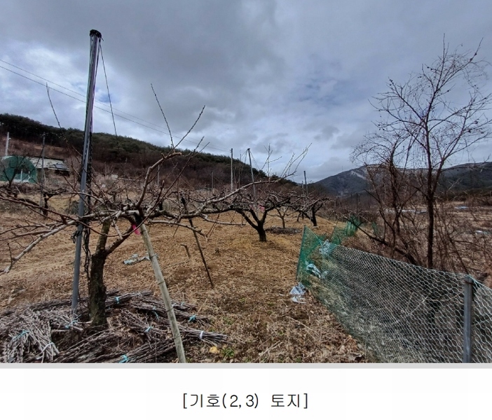 2025타경7319 경상북도 청도군 풍각면 화산리 689 과수원 경매 이미지