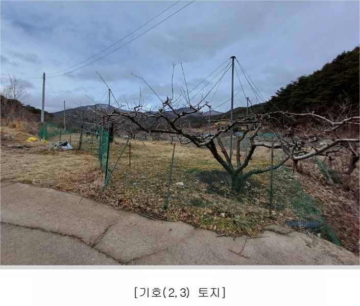 2025타경7319 경상북도 청도군 풍각면 화산리 689 과수원 경매 이미지