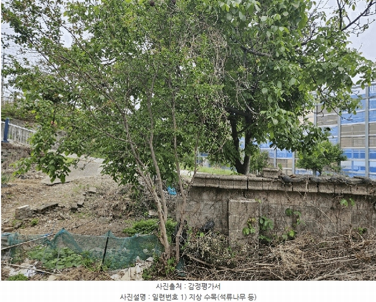 2025타경7832 경상북도 칠곡군 왜관읍 왜관리 324-6 주택 경매 이미지