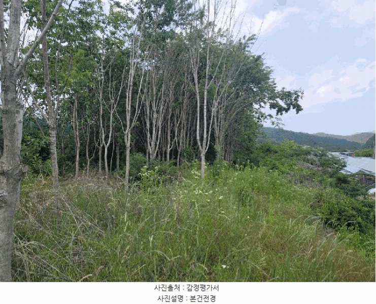 2025타경7898 경상북도 영천시 화남면 사천리 721 과수원 경매 이미지