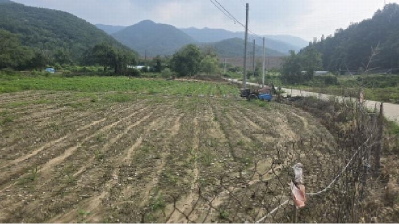 2025타경8072 경상북도 칠곡군 가산면 송학리 765-2 농지 경매 이미지