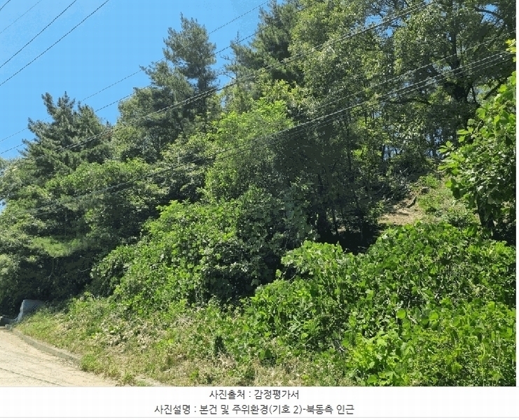 2025타경412 경상북도 포항시 남구 대송면 장동리 산73-31 임야 경매 이미지