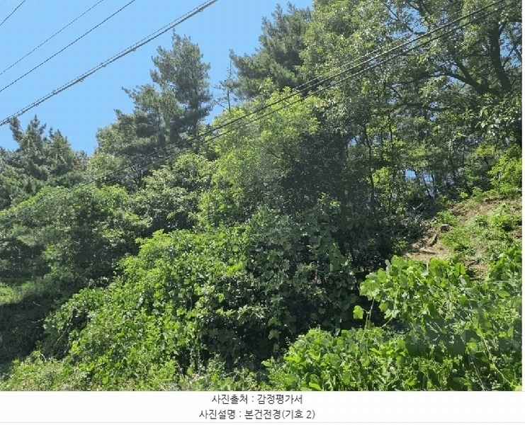 2025타경412 경상북도 포항시 남구 대송면 장동리 산73-31 임야 경매 이미지