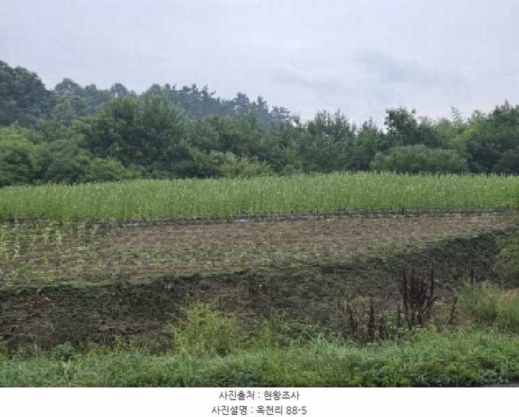 2025타경8350 경상북도 영천시 북안면 옥천리 93-2 임야 경매 이미지