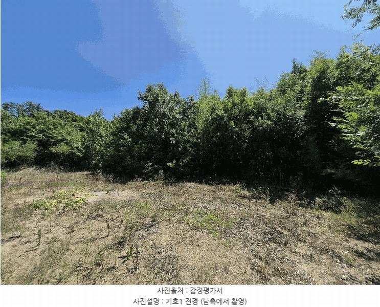 2025타경8350 경상북도 영천시 북안면 옥천리 93-2 임야 경매 이미지