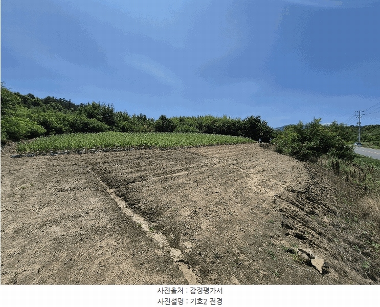 2025타경8350 경상북도 영천시 북안면 옥천리 93-2 임야 경매 이미지