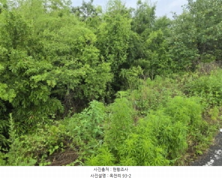 2025타경8350 경상북도 영천시 북안면 옥천리 93-2 임야 경매 이미지