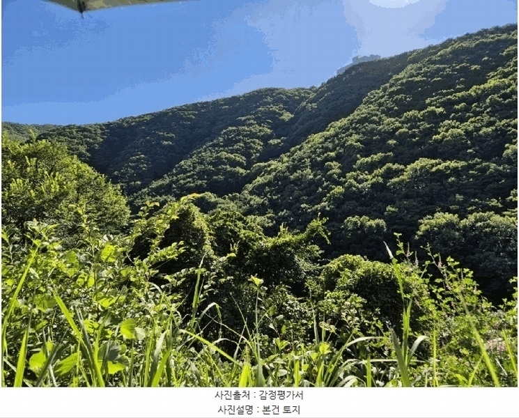 2025타경8682 경상북도 청도군 매전면 송원리 산181 임야 경매 이미지