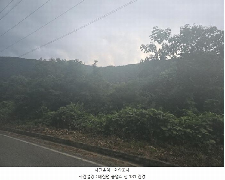 2025타경8682 경상북도 청도군 매전면 송원리 산181 임야 경매 이미지