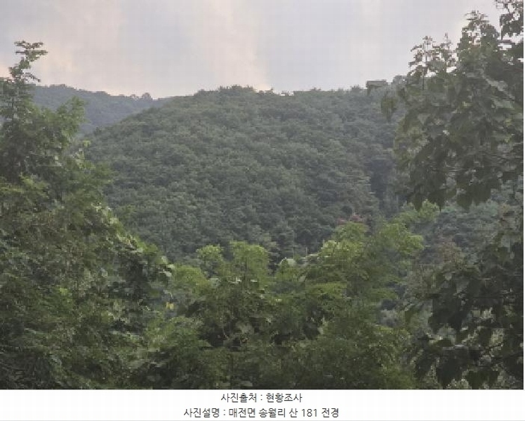 2025타경8682 경상북도 청도군 매전면 송원리 산181 임야 경매 이미지