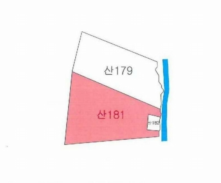 2025타경8682 경상북도 청도군 매전면 송원리 산181 임야 경매 이미지