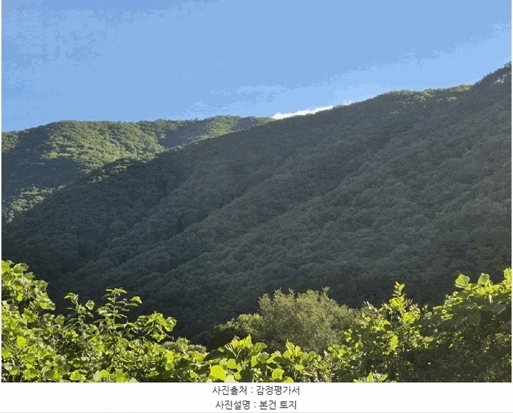 2025타경8682 경상북도 청도군 매전면 송원리 산181 임야 경매 이미지
