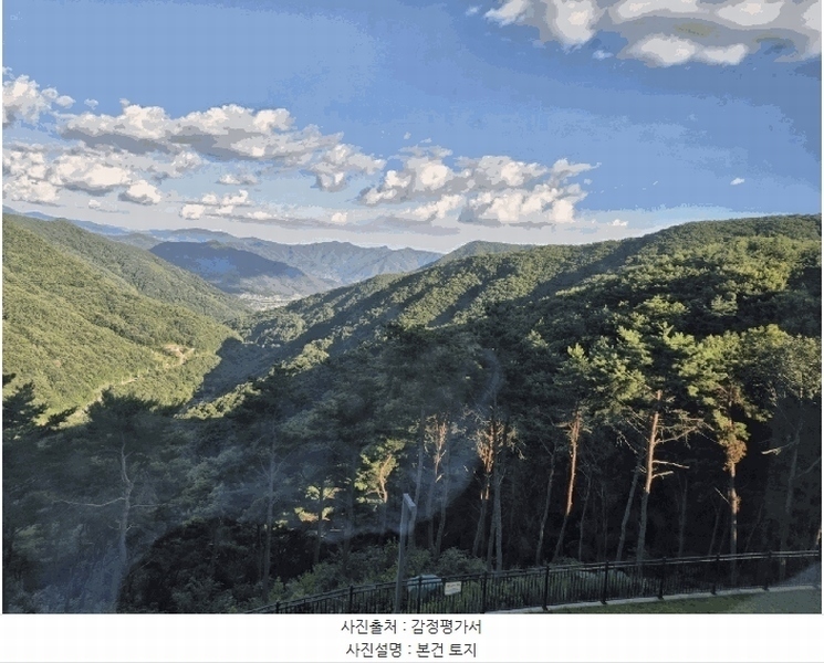 2025타경8682 경상북도 청도군 매전면 송원리 산181 임야 경매 이미지