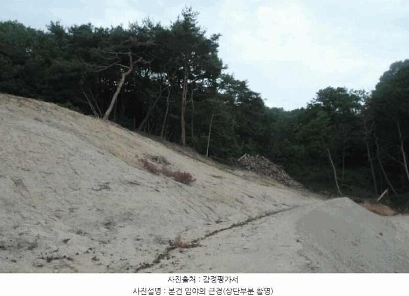 2025타경422 충청남도 논산시 은진면 시묘리 산79-1 임야 경매 이미지