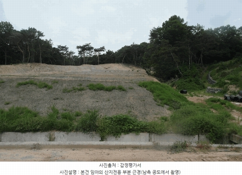 2025타경422 충청남도 논산시 은진면 시묘리 산79-1 임야 경매 이미지