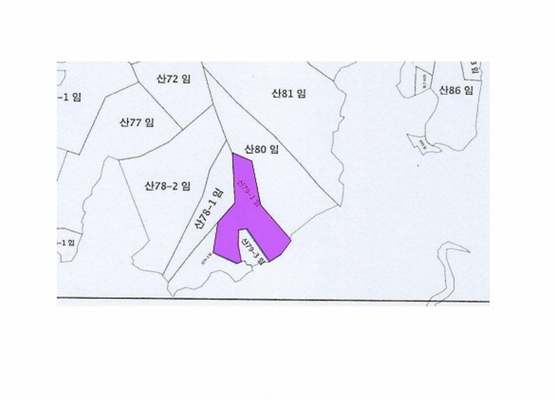 2025타경422 충청남도 논산시 은진면 시묘리 산79-1 임야 경매 이미지