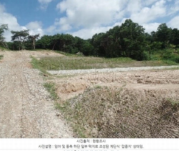 2025타경422 충청남도 논산시 은진면 시묘리 산79-1 임야 경매 이미지
