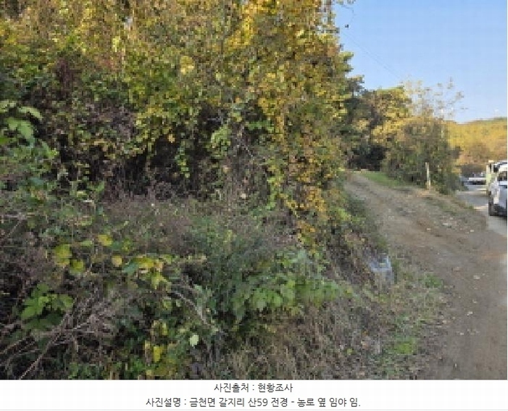 2025타경8742 경상북도 청도군 금천면 갈지리 산59 임야 경매 이미지