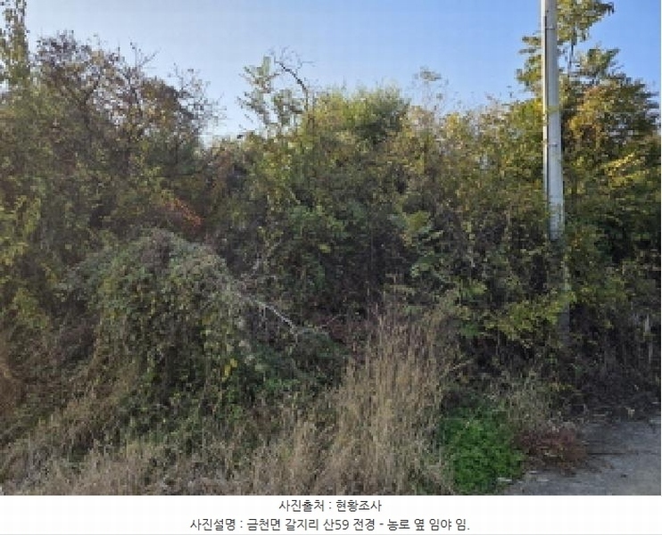 2025타경8742 경상북도 청도군 금천면 갈지리 산59 임야 경매 이미지