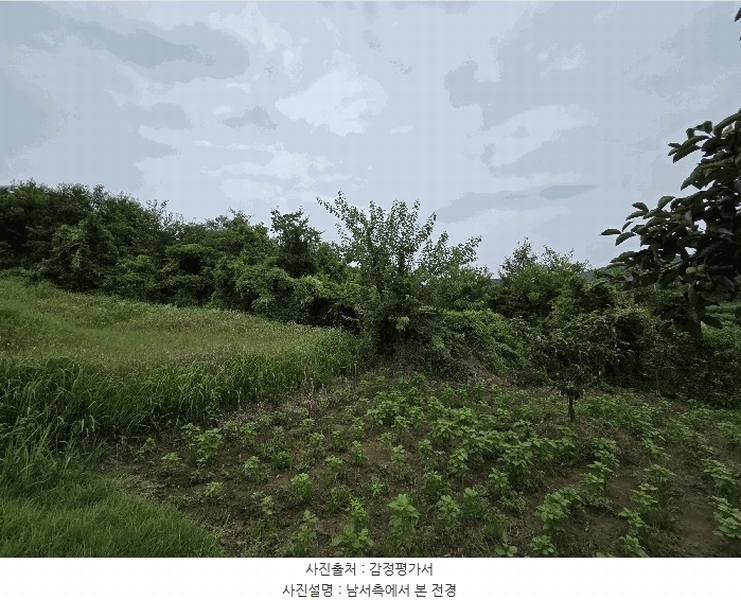 2025타경8742 경상북도 청도군 금천면 갈지리 산59 임야 경매 이미지