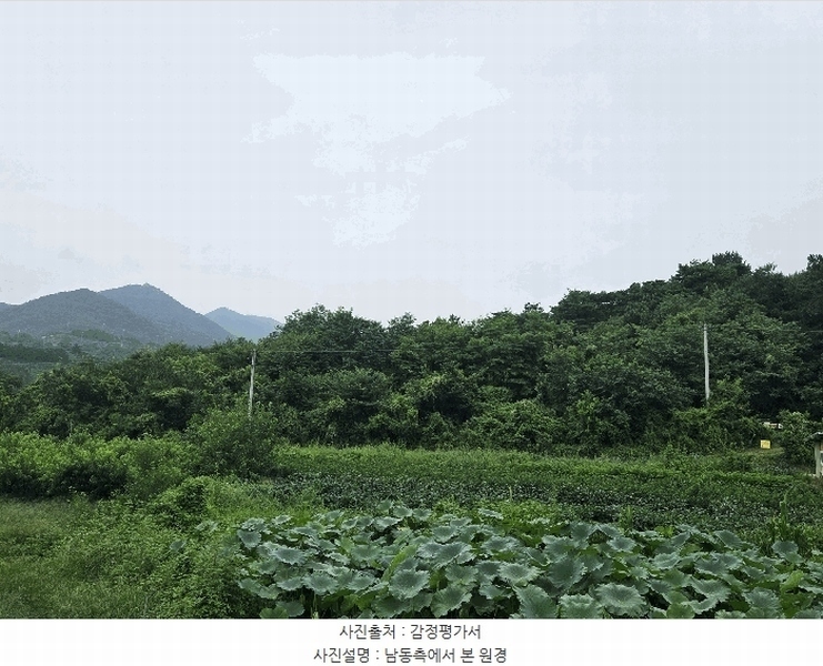 2025타경8742 경상북도 청도군 금천면 갈지리 산59 임야 경매 이미지