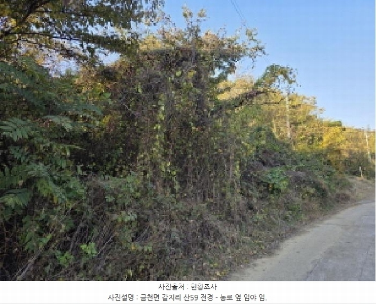 2025타경8742 경상북도 청도군 금천면 갈지리 산59 임야 경매 이미지