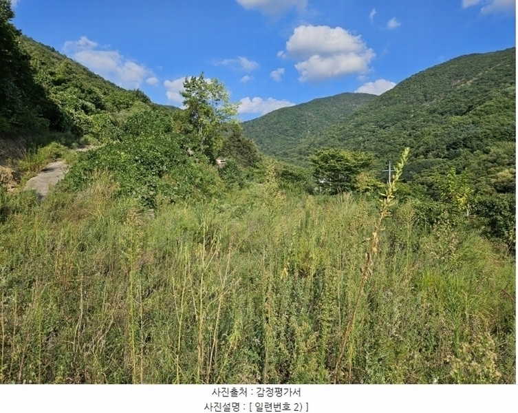 2024타경8492 경상북도 영천시 화북면 법화리 298-2 농지 경매 이미지