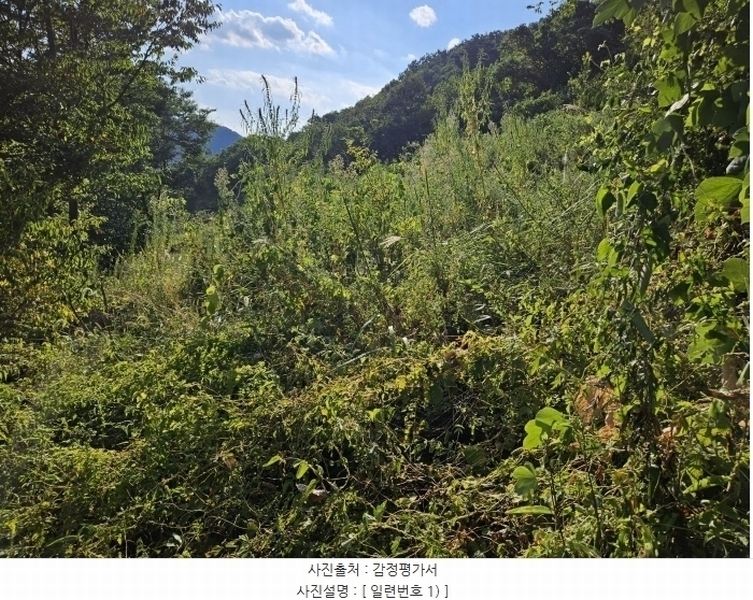 2024타경8492 경상북도 영천시 화북면 법화리 298-2 농지 경매 이미지