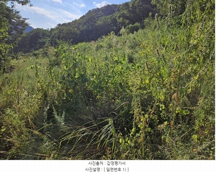 2024타경8492 경상북도 영천시 화북면 법화리 298-2 농지 경매 이미지