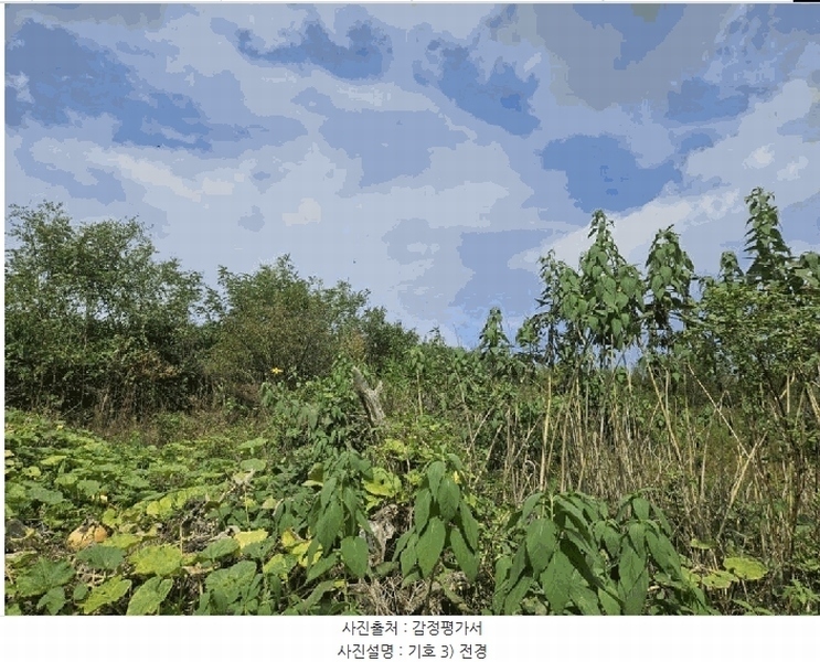 2024타경9594 경상북도 영천시 범어동 632 과수원 경매 이미지