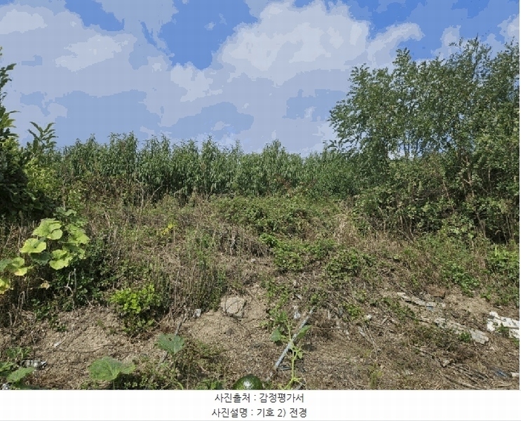 2024타경9594 경상북도 영천시 범어동 632 과수원 경매 이미지